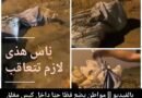 مواطن يضع قطًا حيًا داخل كيس