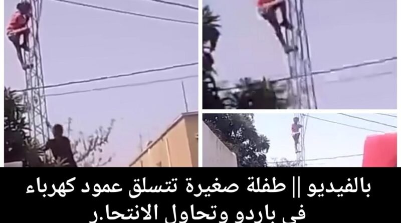 طفلة صغيرة تتسلق عمود كهرباء في باردو