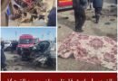 حادث مرور أليم بطريق سيدي بوزيد – الحواجبية يُسفر عن قتيل وعدد من المصابين
