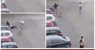 اعتداء بسلاح أبيض على امرأة في باردو يثير القلق ويدعو لتعزيز السلامة في الفضاءات العامة