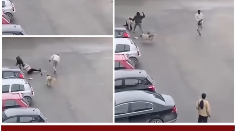 اعتداء بسلاح أبيض على امرأة في باردو يثير القلق ويدعو لتعزيز السلامة في الفضاءات العامة