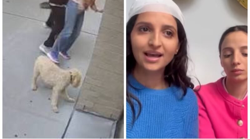 حادثة اعتداء على فتاة من ذوي الإعاقة تثير استنكاراً واسعاً ودعوات لتعزيز الحماية