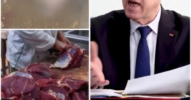 رئيس الجمهورية يحذّر من ذبح إناث المواشي: دعوة لحماية الثروة الحيوانية في تونس