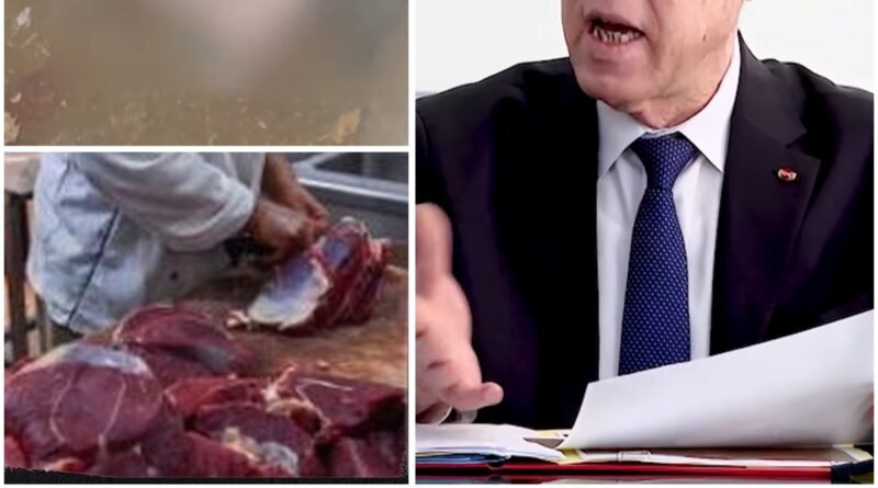 رئيس الجمهورية يحذّر من ذبح إناث المواشي: دعوة لحماية الثروة الحيوانية في تونس
