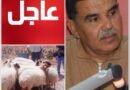 رئيس نقابة الفلاحين يكشف معدل أسعار الأضاحي ويحذر من بعض طرق البيع