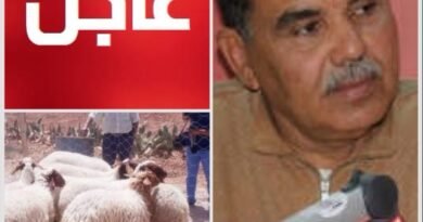 رئيس نقابة الفلاحين يكشف معدل أسعار الأضاحي ويحذر من بعض طرق البيع