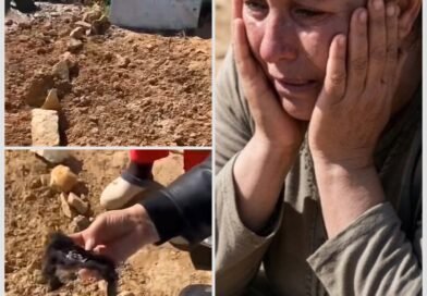 فيديو يوثق زيارة أم لقبر ابنتها ويثير تفاعلًا واسعًا على مواقع التواصل
