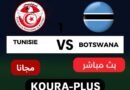 بث مباشر لمباراة تونس و بوتسوانا